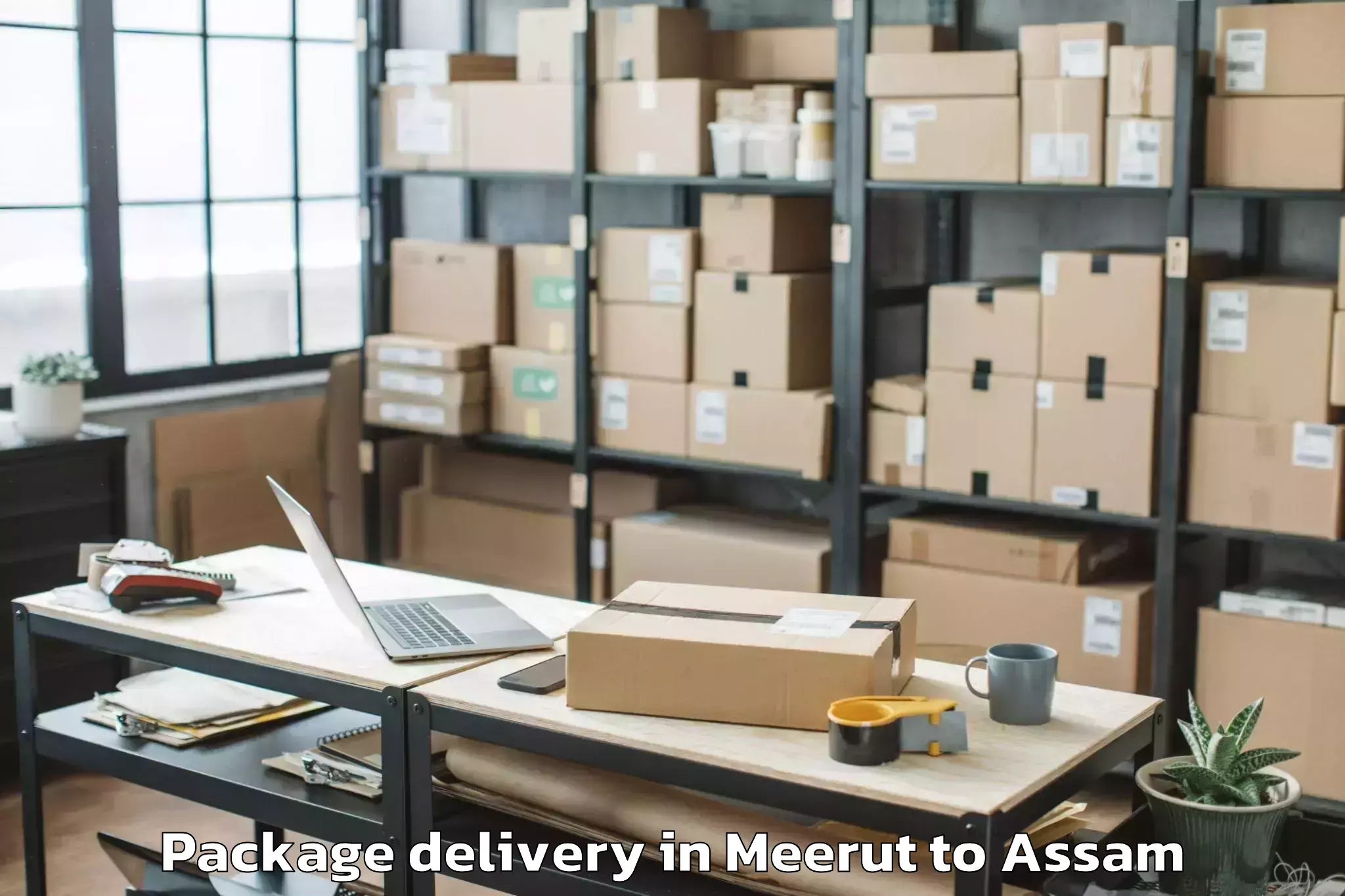 Reliable Meerut to Bihpuria Package Delivery